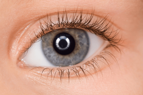 Результат применения ADVANCED Lash: ресницы до курса